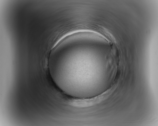 X0000099570025200805301549