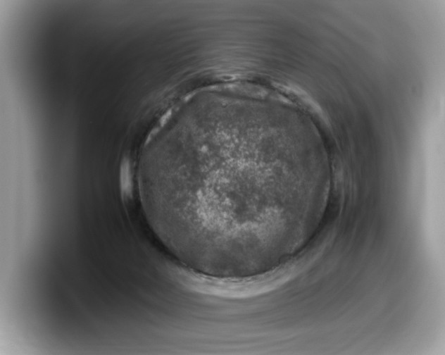 X0000099570026200805301549