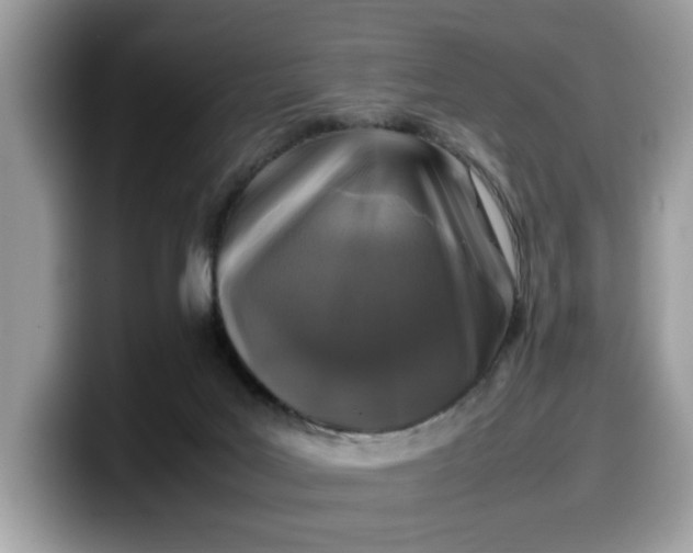 X0000099570027200805301549