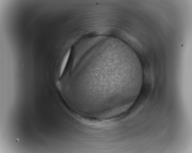 X0000099570028200805301549