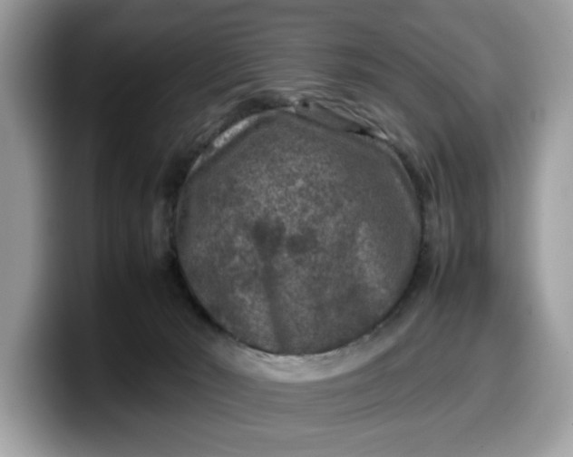 X0000099570030200805301549
