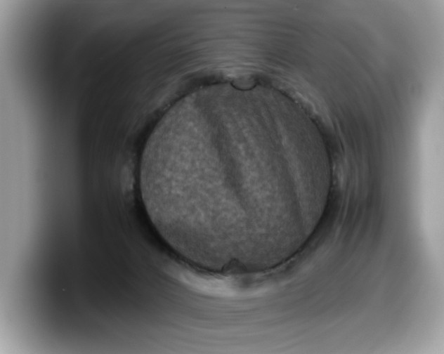 X0000099570032200805301549