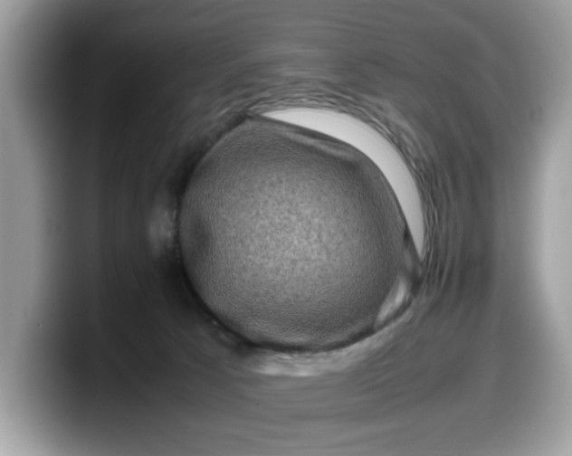 X0000099570033200805301549