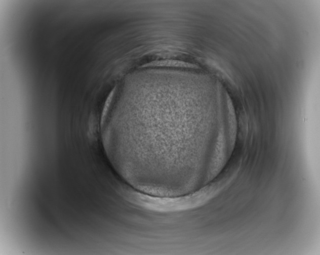 X0000099570034200805301549