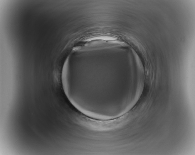 X0000099570035200805301549