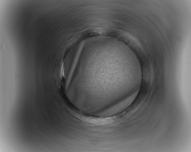 X0000099570036200805301549