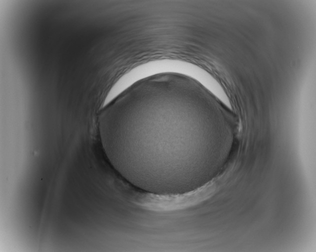 X0000099570037200805301549