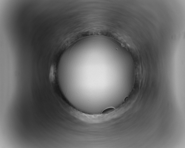 X0000099570038200805301549