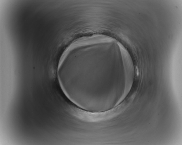 X0000099570039200805301549
