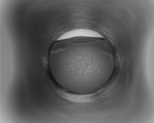 X0000099570040200805301549