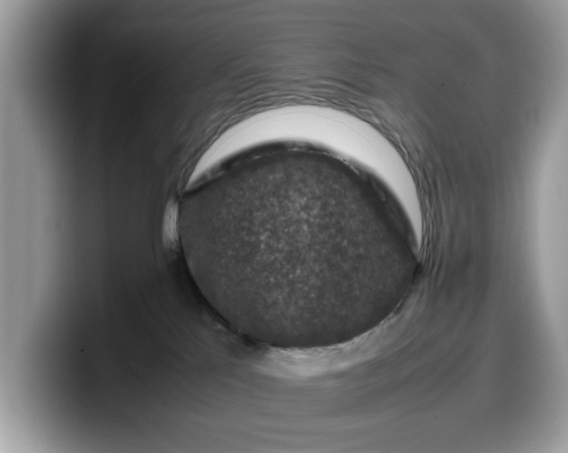 X0000099570041200805301549