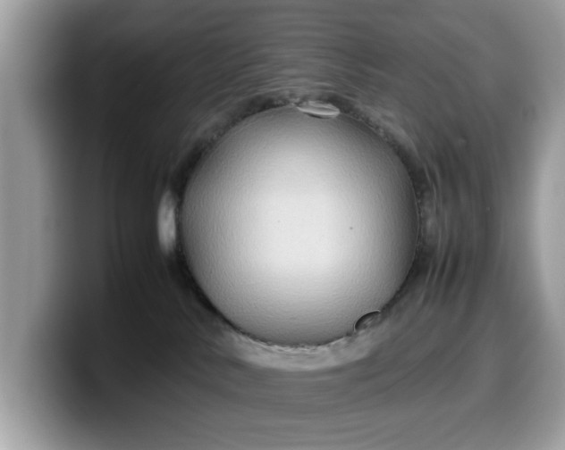 X0000099570042200805301549