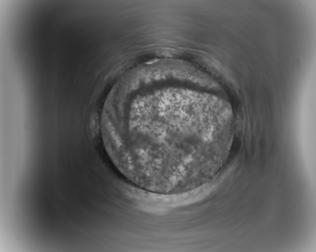 X0000099570043200805301549