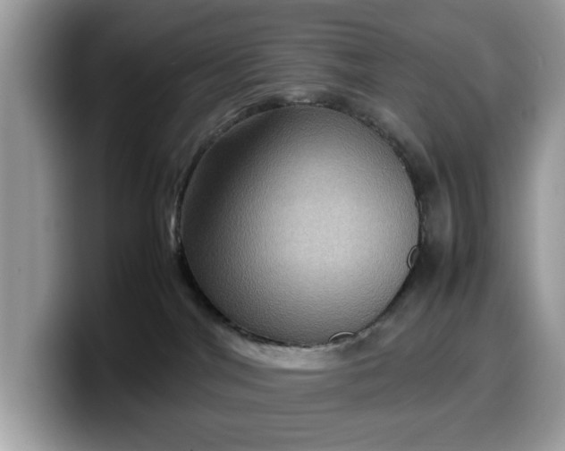 X0000099570044200805301549