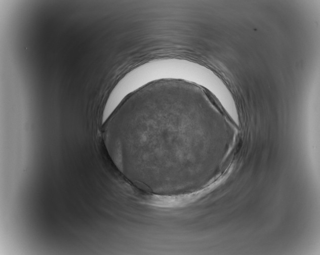 X0000099570045200805301549