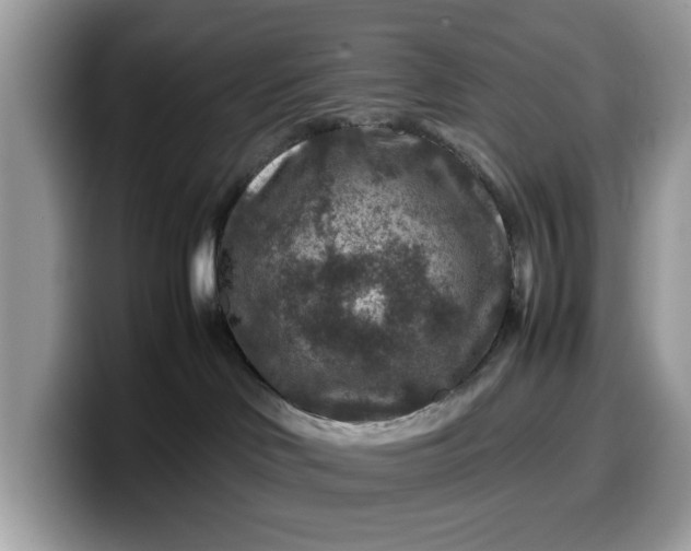 X0000099570046200805301549