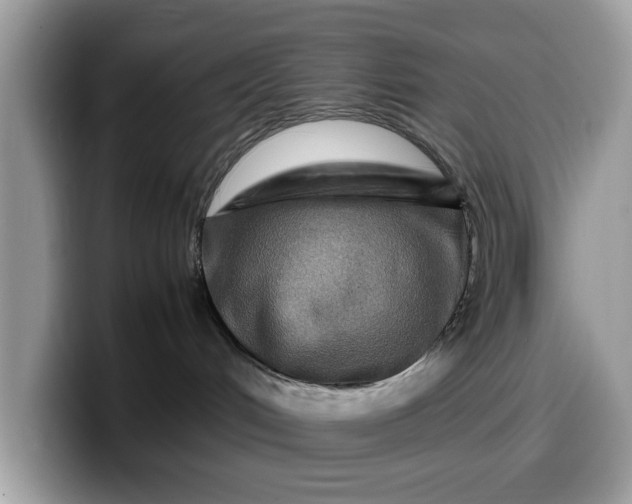 X0000099570048200805301549
