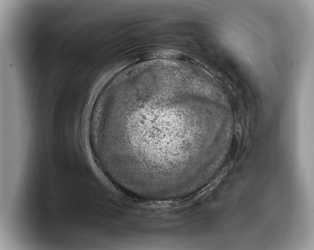 X0000099570049200805301548