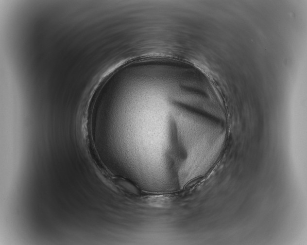 X0000099570050200805301548