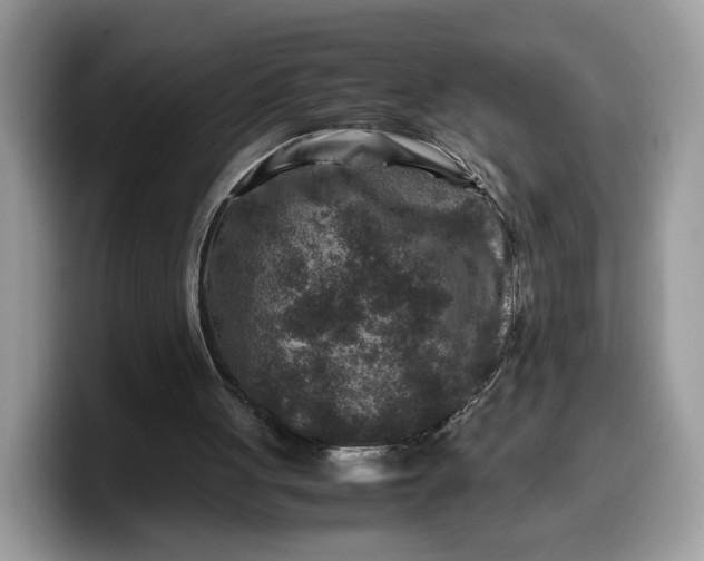 X0000099570051200805301548