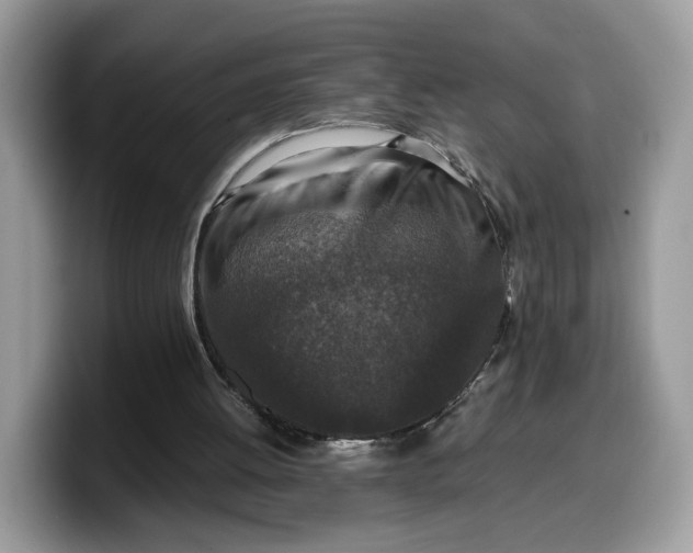 X0000099570052200805301548