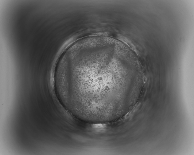 X0000099570053200805301548