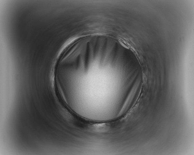 X0000099570054200805301548