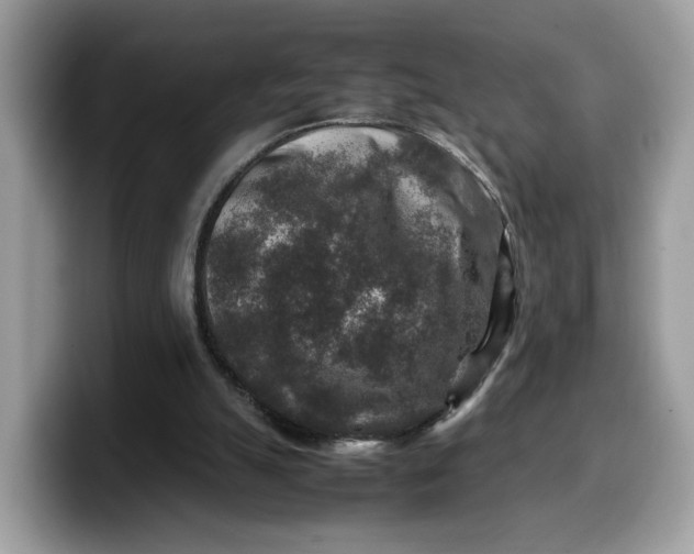 X0000099570055200805301548