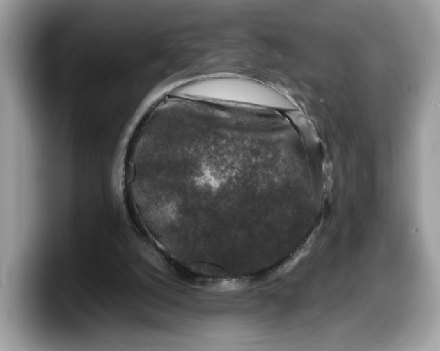 X0000099570056200805301548