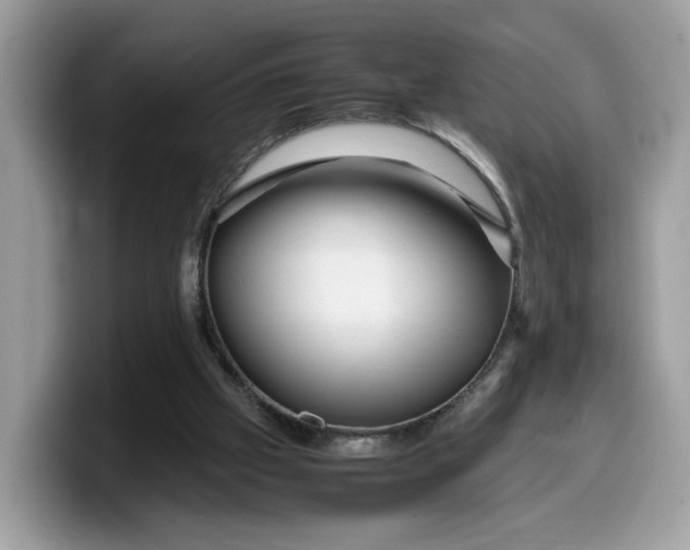 X0000099570057200805301548