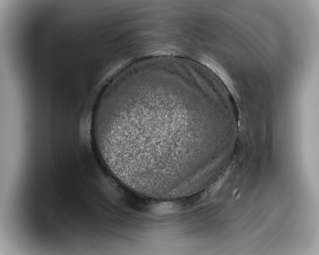 X0000099570058200805301548