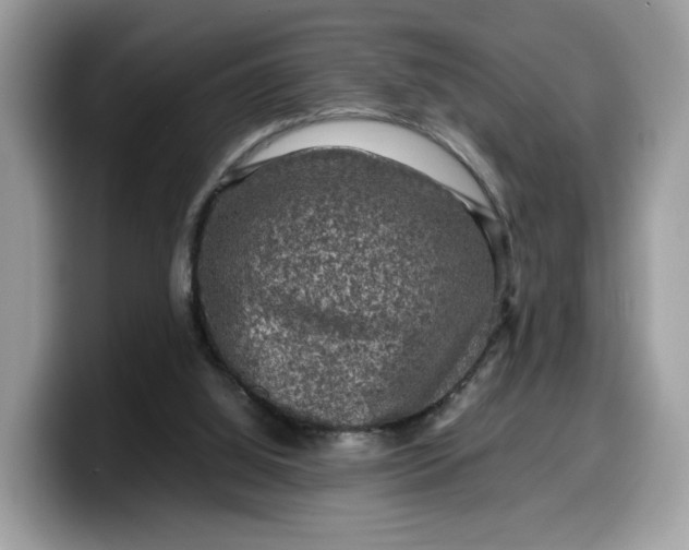 X0000099570060200805301548