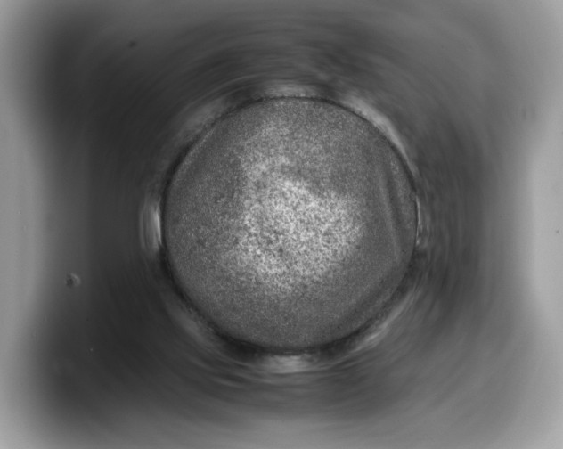 X0000099570061200805301548