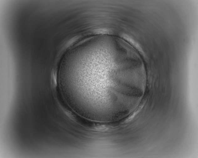 X0000099570062200805301548