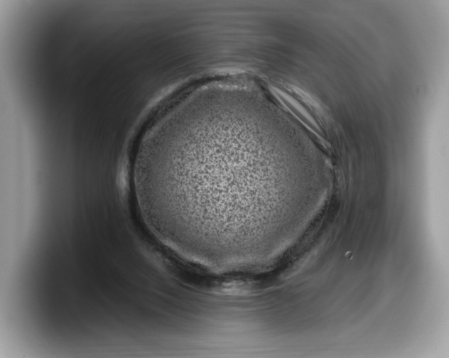 X0000099570064200805301548