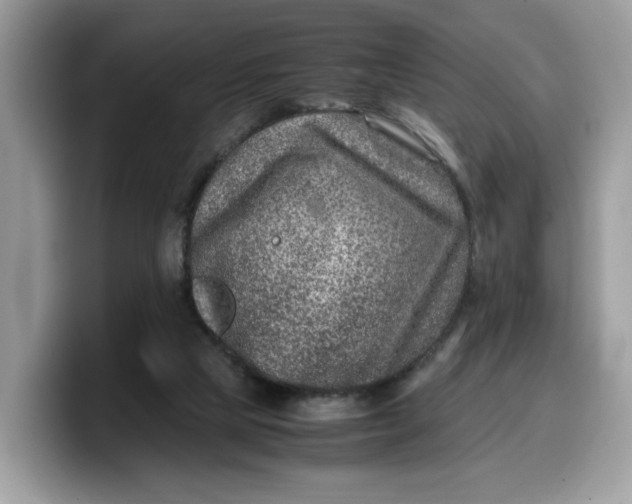 X0000099570065200805301548