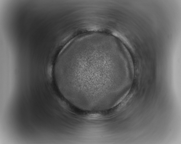 X0000099570066200805301548
