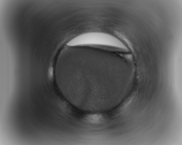 X0000099570067200805301548