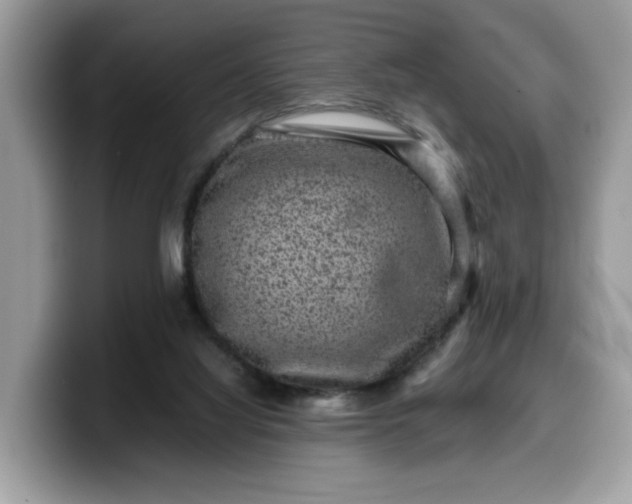 X0000099570068200805301548