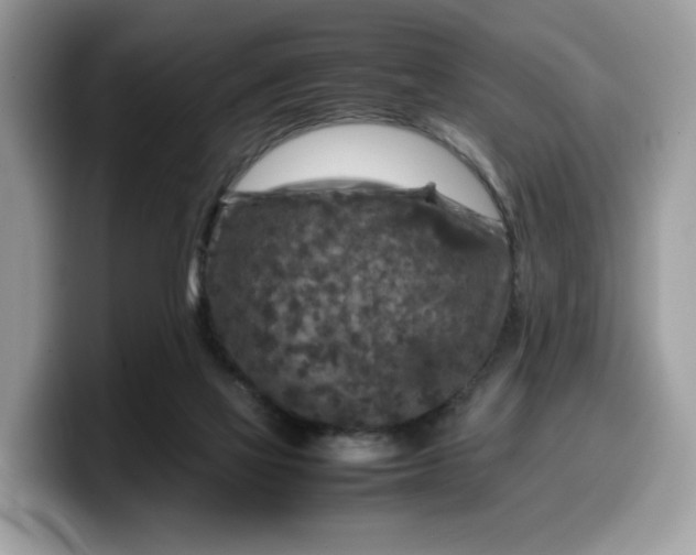 X0000099570069200805301548