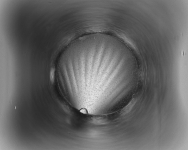 X0000099570070200805301548