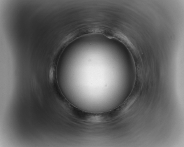 X0000099570071200805301548