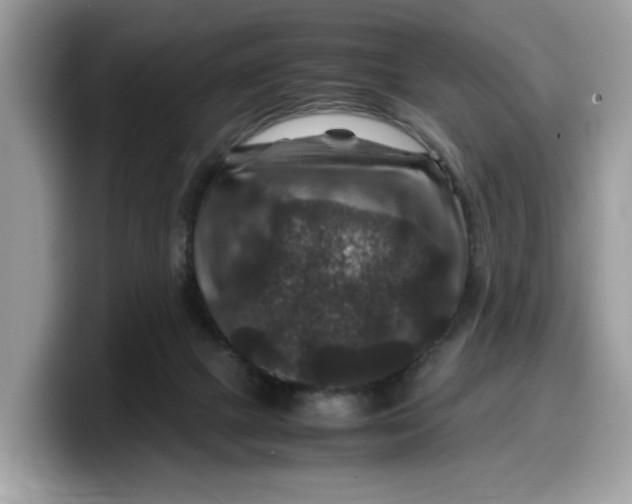 X0000099570073200805301549