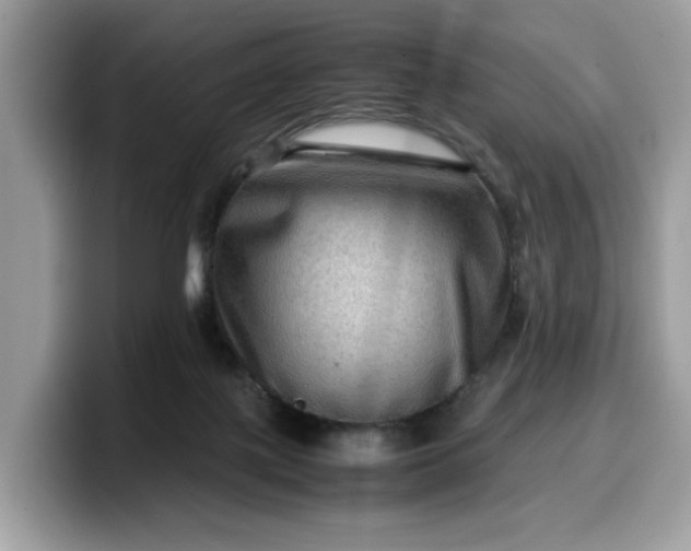 X0000099570075200805301549