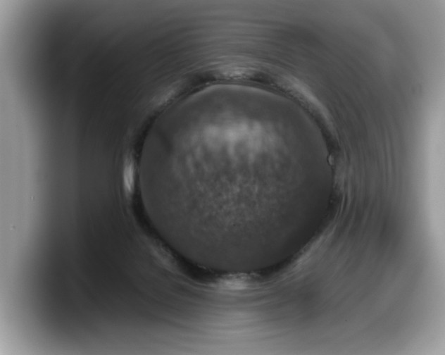 X0000099570076200805301549