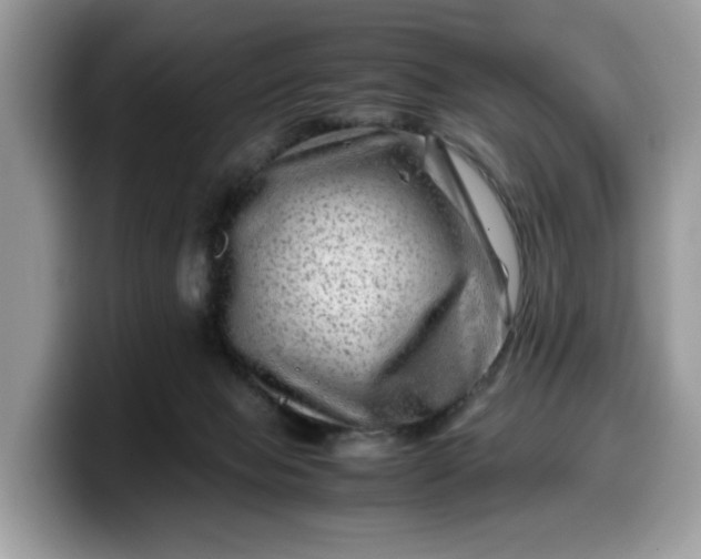 X0000099570077200805301549