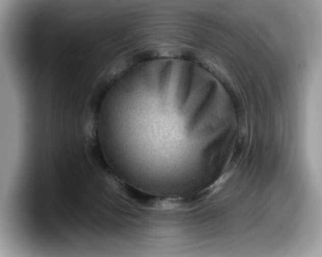 X0000099570078200805301549