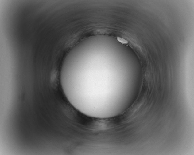 X0000099570079200805301549