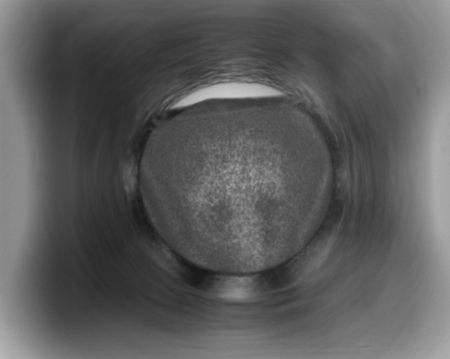 X0000099570081200805301549