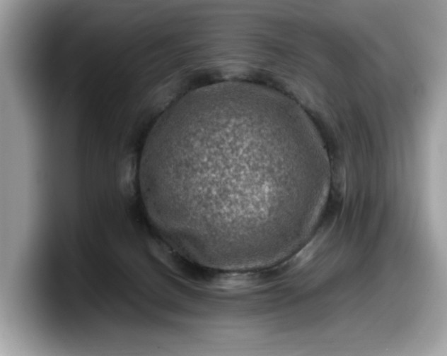 X0000099570082200805301549
